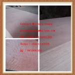 Poplar plywood manufacturer ,plywood sheet, shuttering plywood-GT