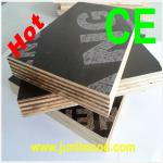 waterproof marine plywood for Middle East Market !-film faced plywood AAA 858