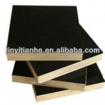 Construction use 18mm film faced plywood-TH-F