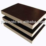 Black and brown film faced plywood/ construction plywood-P81