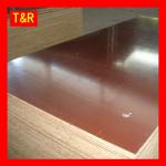 bamboo plywood for concrete building-TR-BP6845