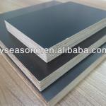 Shandong Linyi Laminated Wood Beams Plastic Formwork,Eucalyptus Plywood for Construction-1220*2440mm