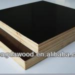 Black film combi core 1220x2440 18mm phenolic bp film faced plywood film faced shuttering plywood-