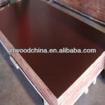 18mm Brown film faced shuttering plywood for construction building-