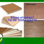 WBP Glue 4x8 Commercial Veneer bintangor Plywood for Construction-HL-pl