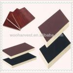 film faced plywood for construction-JY-01