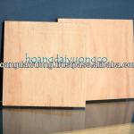 High quality Vietnam plywood for container floor-PWF