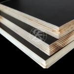 red clean film faced plywood/ black film faced plywood-FS-P