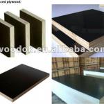 black shuttering plywood with best price and high quality-1220*2440
