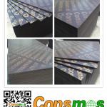 Consmos 18mm film faced plywood for construction/shuttering plywood/panel/formwork laminated plywood-CM-FFP