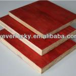 Cheap Plywood/packing plywood /plywood factory-hx023
