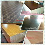 commercial plywood/Melamine plywood /Film faced plywood-plywood