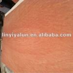 red face plywood for Africa market--