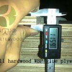 18mm hardwood phenolic plywood-CPPC