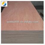 poplar core Okoume/Bintangor veneer plywood-commercial plywood
