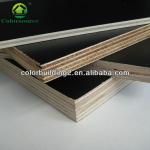 Black Film Faced Surface 18MM Combi Core Plywood-