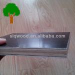 marine plex plywood for Middle East-1220*2440mm