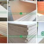 18mm melamine plywood factory in LINYI-haileju