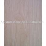 1220*2440mm hot sale &amp; the factory outlet veneer-MS-C-042