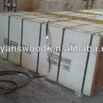 shouguang Film faced plywood/Shuttering plywood/Construction plywood/FFP 12mm