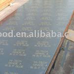 black film faced plywood-001