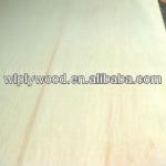 Bleached poplar plywood,1220x2440/Chinese plywood-