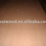 Red Beech Plywood-4&#39;X8&#39;X15MM,18MM
