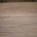 Plywood and Block board-1220X2440MM, 1250X2500MM