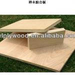 Natural birch plywood,1220x2440/Chinese plywood-