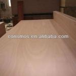 Gurjan face and back blockboard for india market-1220x2440mm