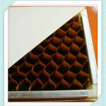 Paper Honycomb Sandwich panel-