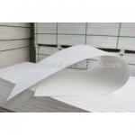 Glass Magnesium Board-