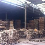 Acacia sawn timber for pallet or finger joint