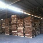 Acacia wood sawn timber for pallet or finger joint-sawn timber 01