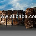 Olive wood timber-