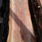 Fresh/Green unedged European Oak-