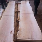 European Sycamore / Maple Lumber