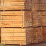 ACACIA SAWN TIMBER-