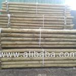 Debarked pine poles, impregnated-