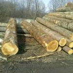 LOGS-