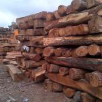 timber wood-08036836864