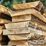 sawn timber-