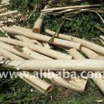 Timber Acacia, less than 14cm diameter, Cheap price