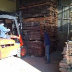 Beech wood