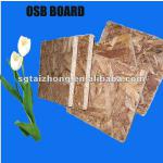 Oriented strand board-001