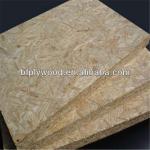 Hot sale 9mm 12mm 15mm 18mm OSB-NW-OSB