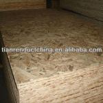 12mm OSB Platten,Oreinted Strand Board For indoor or outdoors-TCB-G8300