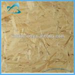 osb board,particle board,chipboard-BTC20