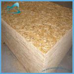 osb board,particle board,chipboard-BTC19