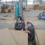 MDF/Melamine MDF Board/Furniture MDF Board-4X8